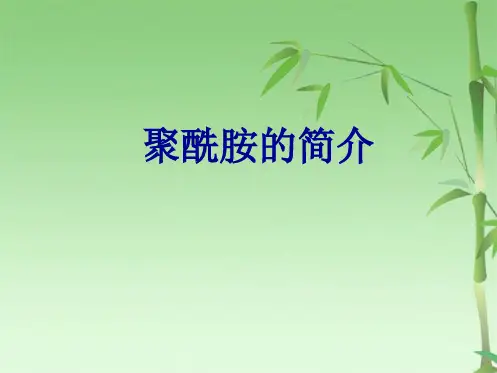 聚酰胺PA简介(共25张PPT)
