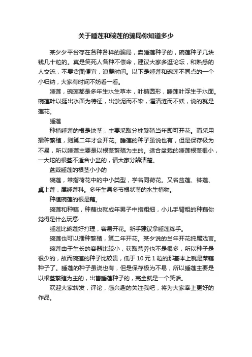 关于睡莲和碗莲的骗局你知道多少