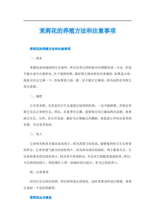 茉莉花的养殖方法和注意事项