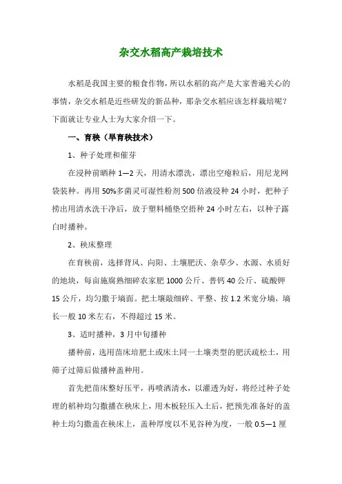 杂交水稻高产栽培技术