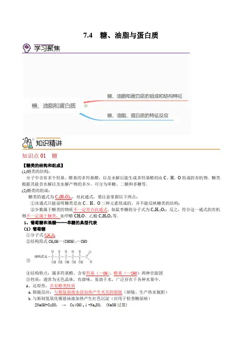 7.4 糖、油脂与蛋白质-2024-2025学年高一化学同步精品讲义(沪科版2020必修第二册 ) 