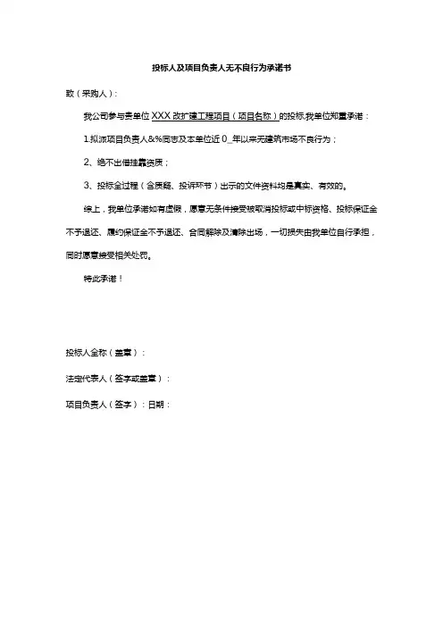 投标人及项目负责人无不良行为承诺书
