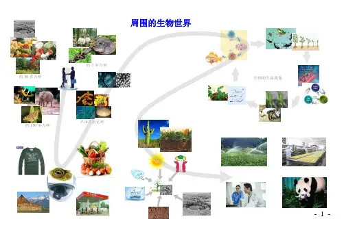 初一生物(人教版)思维导图