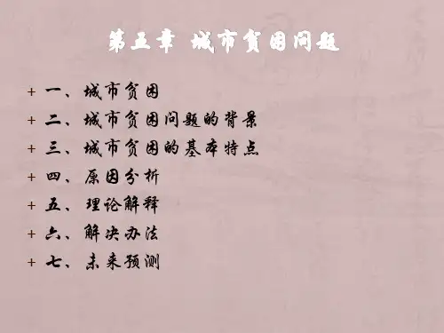 第五章城市贫困问题..