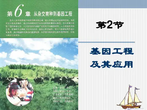 基因工程及其应用精品PPT教学课件