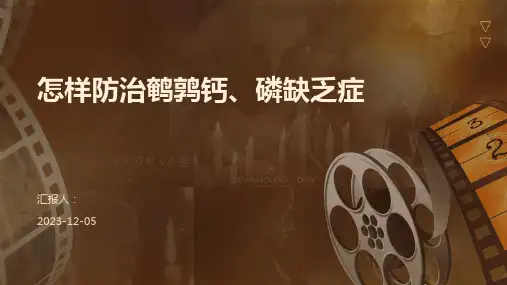 怎样防治鹌鹑钙、磷缺乏症