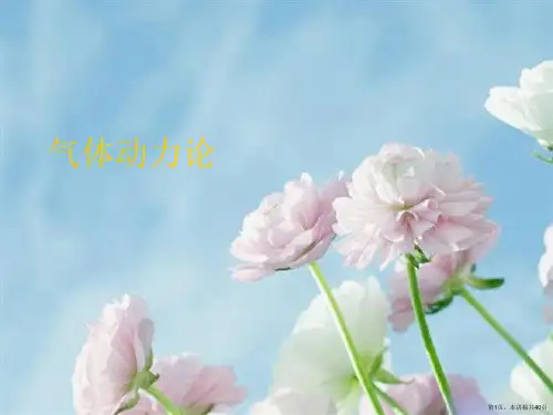 气体动力论
