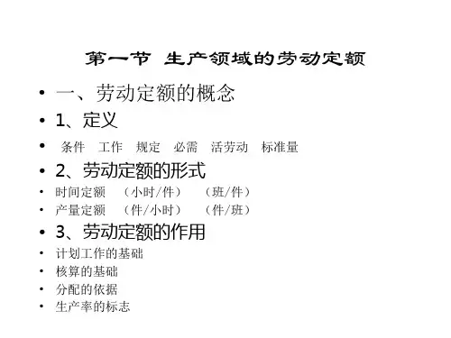 企业劳动定额及劳动组织