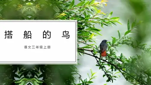 统编版三年级语文上册15《搭船的鸟》课件(共16张PPT)