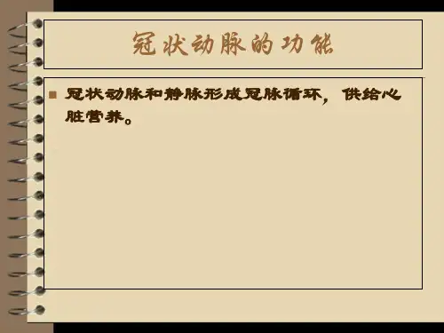2018年冠状动脉的解剖与冠脉造影-文档资料