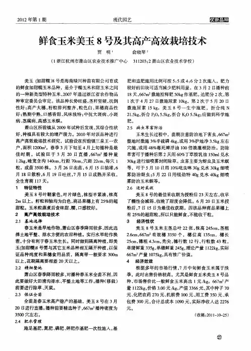 鲜食玉米美玉8号及其高产高效栽培技术
