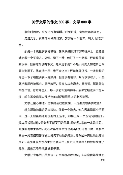 关于文学的作文800字：文学800字
