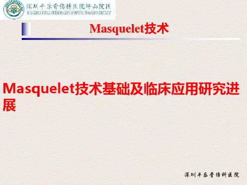 Masquelet技术分析