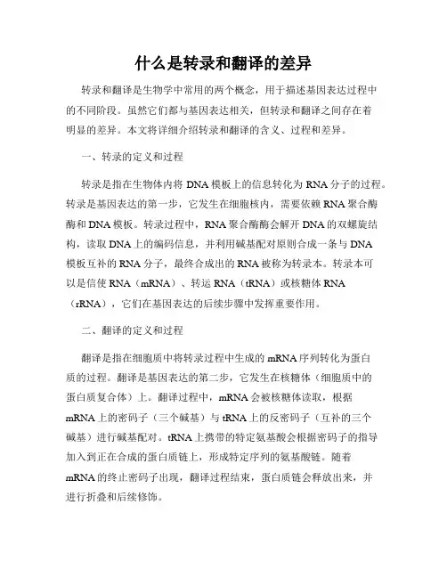 什么是转录和翻译的差异