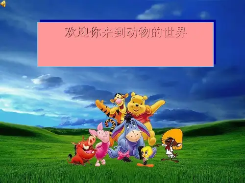动物与人类生活的关系PPT课件 苏教版优秀课件