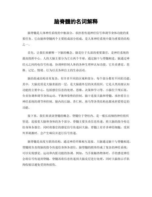 脑脊髓的名词解释