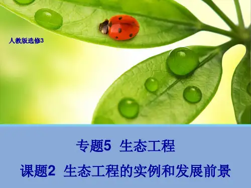 生态工程的实例和发展前景课件.pptx