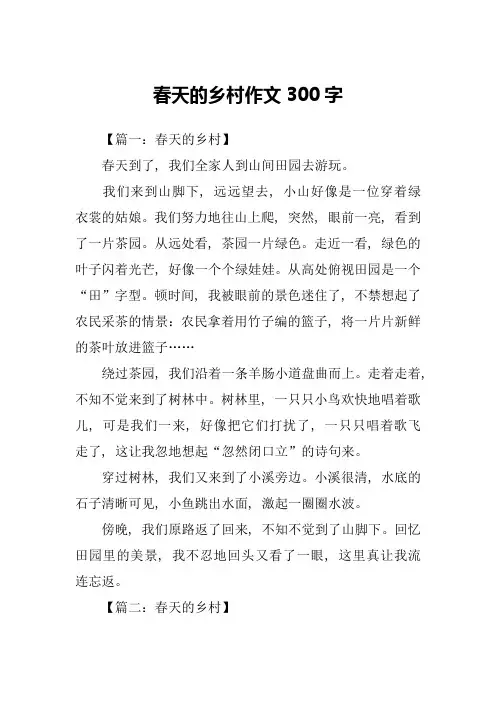 春天的乡村作文300字
