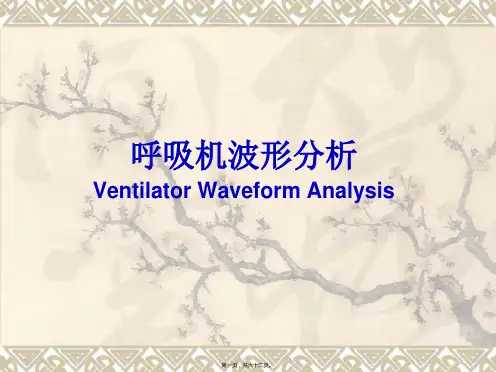 医学知识一呼吸波形及环图分析分析