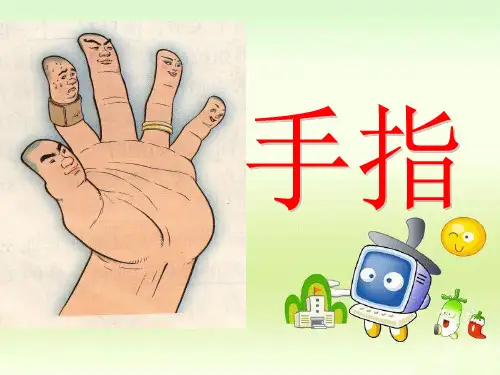 人教版小学三年级《手指》PPT课件上课用