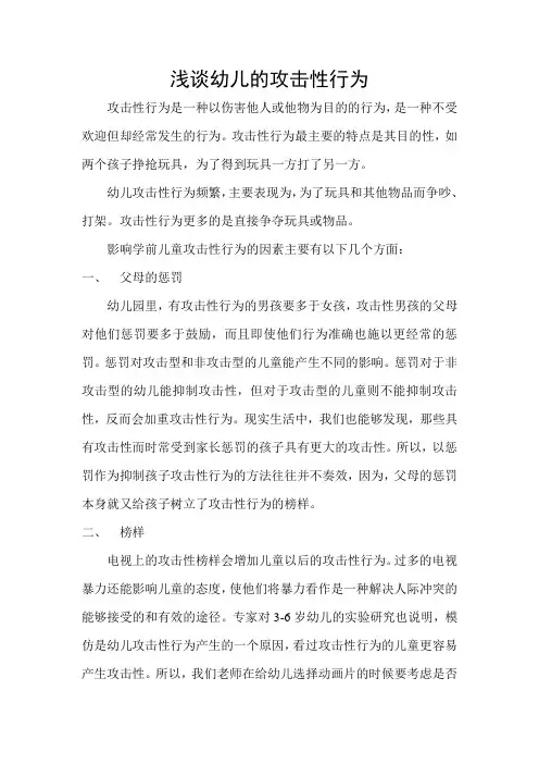 浅谈幼儿的攻击性行为