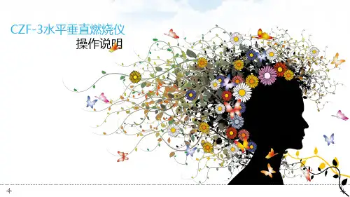 CZF-3型水平垂直燃烧仪使用操作说明指导