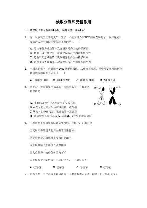 2.1 减数分裂和受精作用练习(含答案)