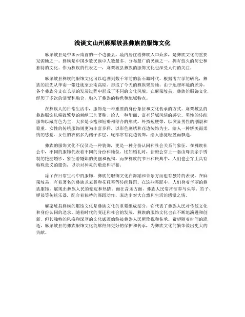 浅谈文山州麻栗坡县彝族的服饰文化