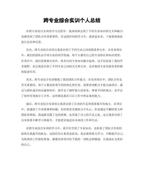 跨专业综合实训个人总结