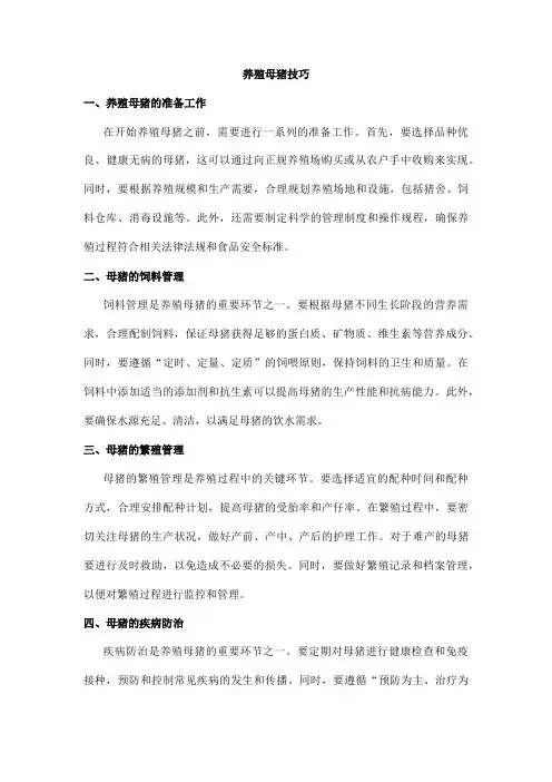 养殖母猪技巧