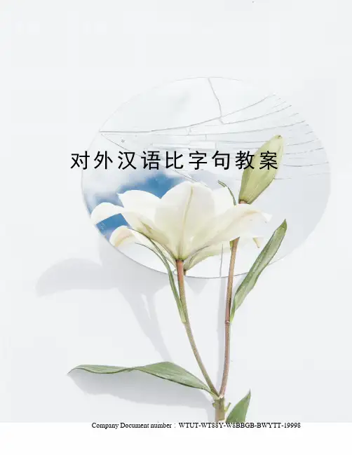 对外汉语比字句教案