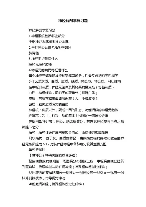 神经解剖学复习题