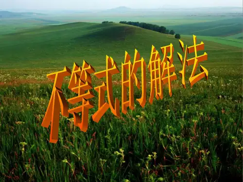 不等式的解法ppt名师课件