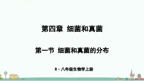 《细菌和真菌的分布》PPT课件【优质】