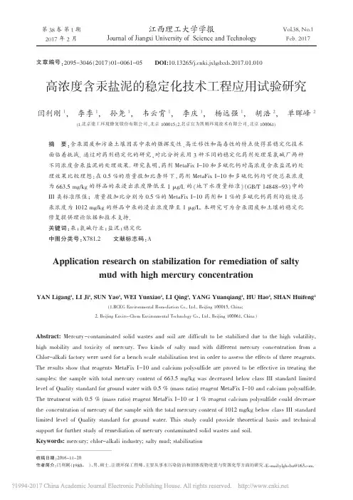 高浓度含汞盐泥的稳定化技术工程应用试验研究_闫利刚