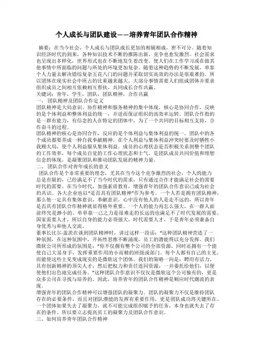 个人成长与团队建设——培养青年团队合作精神
