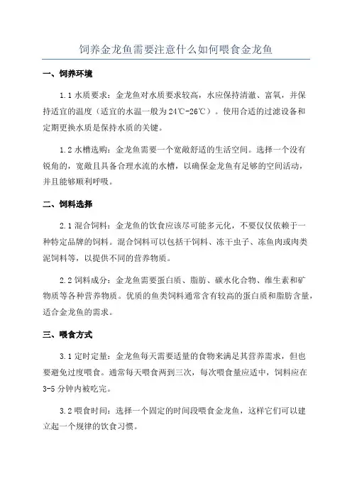 饲养金龙鱼需要注意什么如何喂食金龙鱼