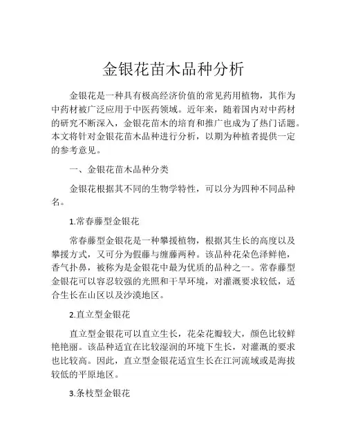金银花苗木品种分析