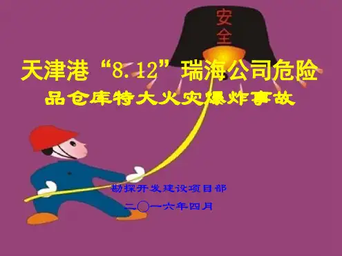 天津港812火灾爆炸事故资料