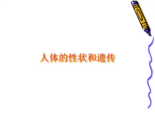 上海版八年级上册生物  2.3.1 人体的性状和遗传现象 课件   (共14张PPT)