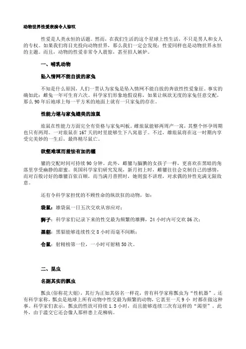 动物世界性爱表演令人惊叹