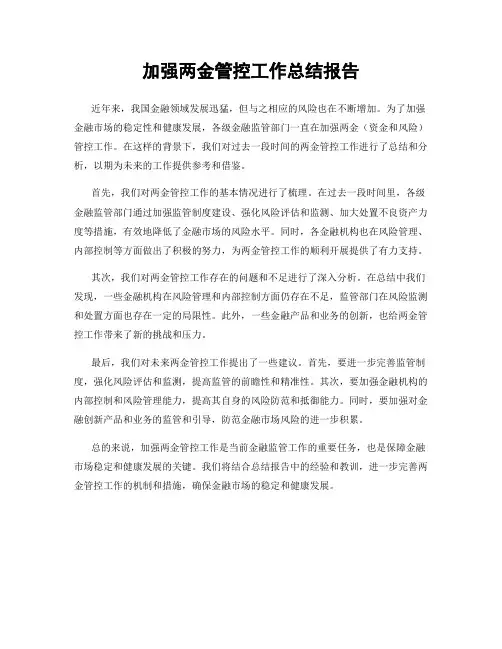 加强两金管控工作总结报告