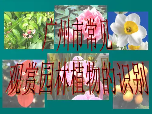 常见园林植物识别