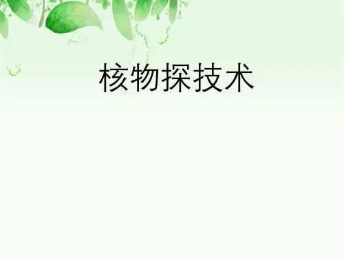 放射性测量单位及核辐射防护