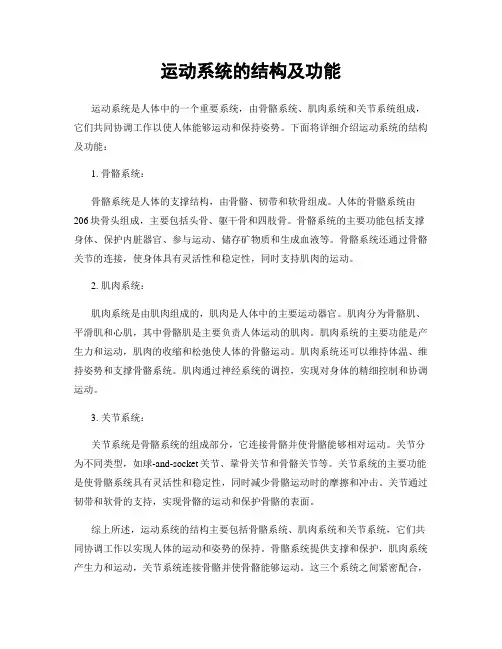 运动系统的结构及功能