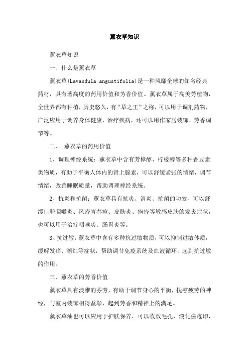 薰衣草知识