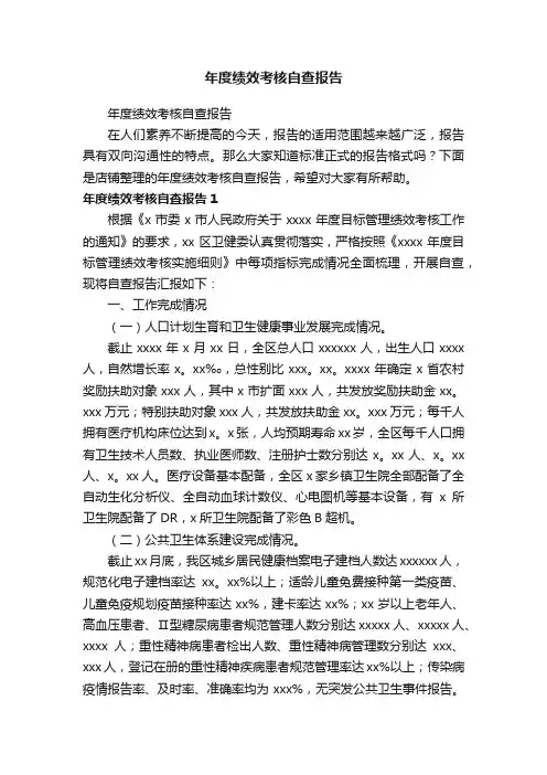 年度绩效考核自查报告