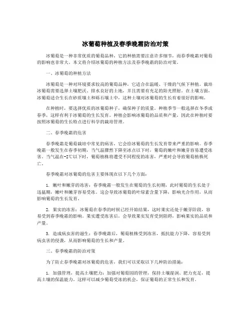 冰葡萄种植及春季晚霜防治对策