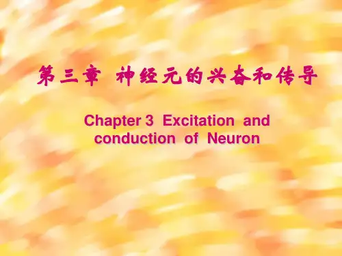 生理-第3章 神经元的兴奋和传导
