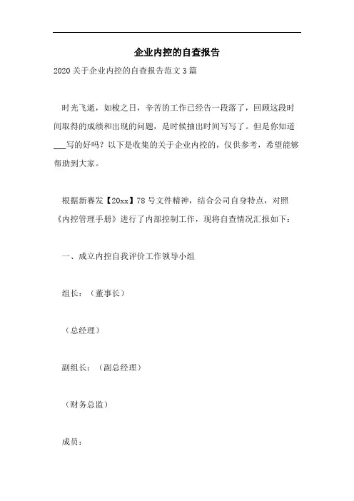 企业内控的自查报告